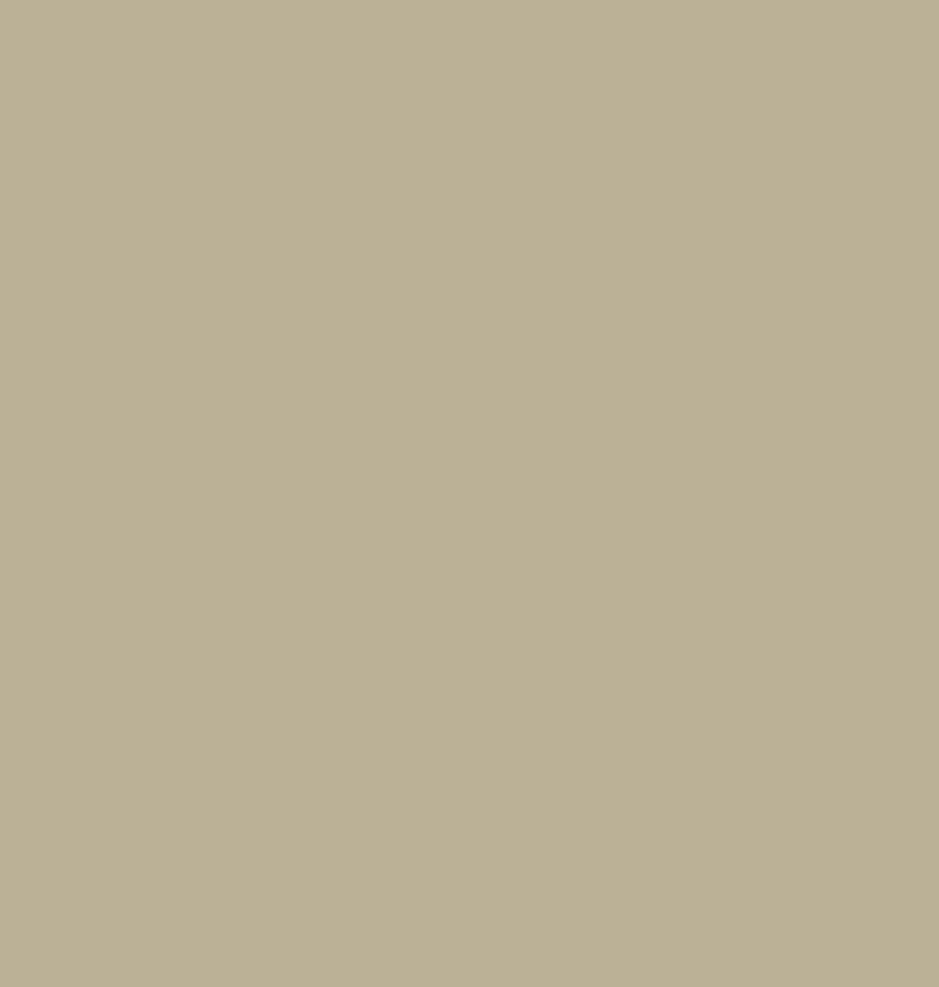 Morris & Co Paint -  Thames Reeds - Eggshell - 1 litre - Morris Wallpaper