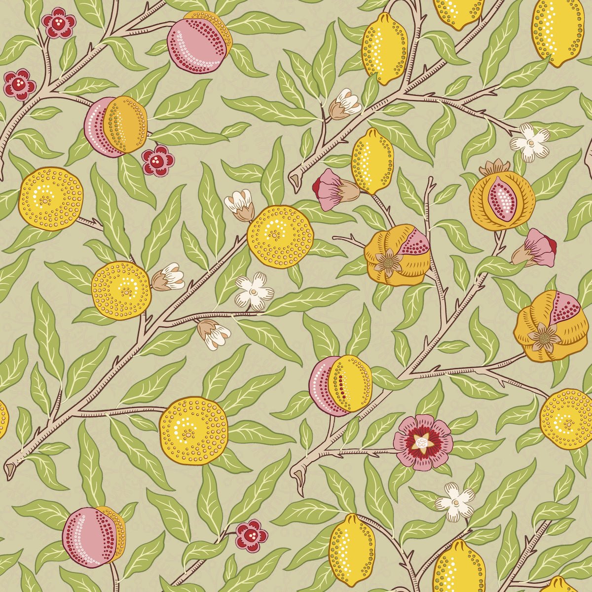 1006 - Fruit Wallpaper - Olive Pale Green by Morris Collections