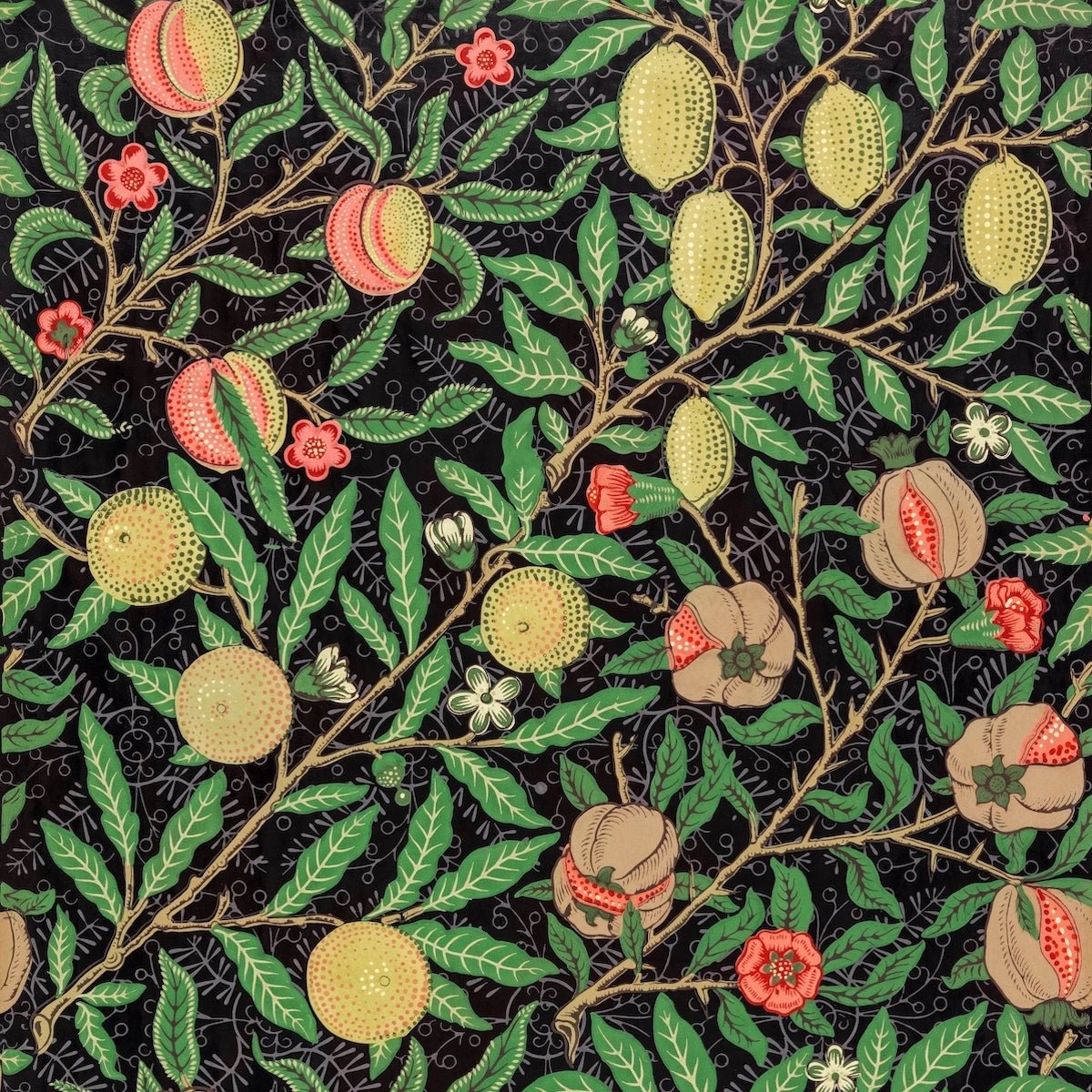 1010 - Fruit Wallpaper - Amazon Night Green by Morris Collections