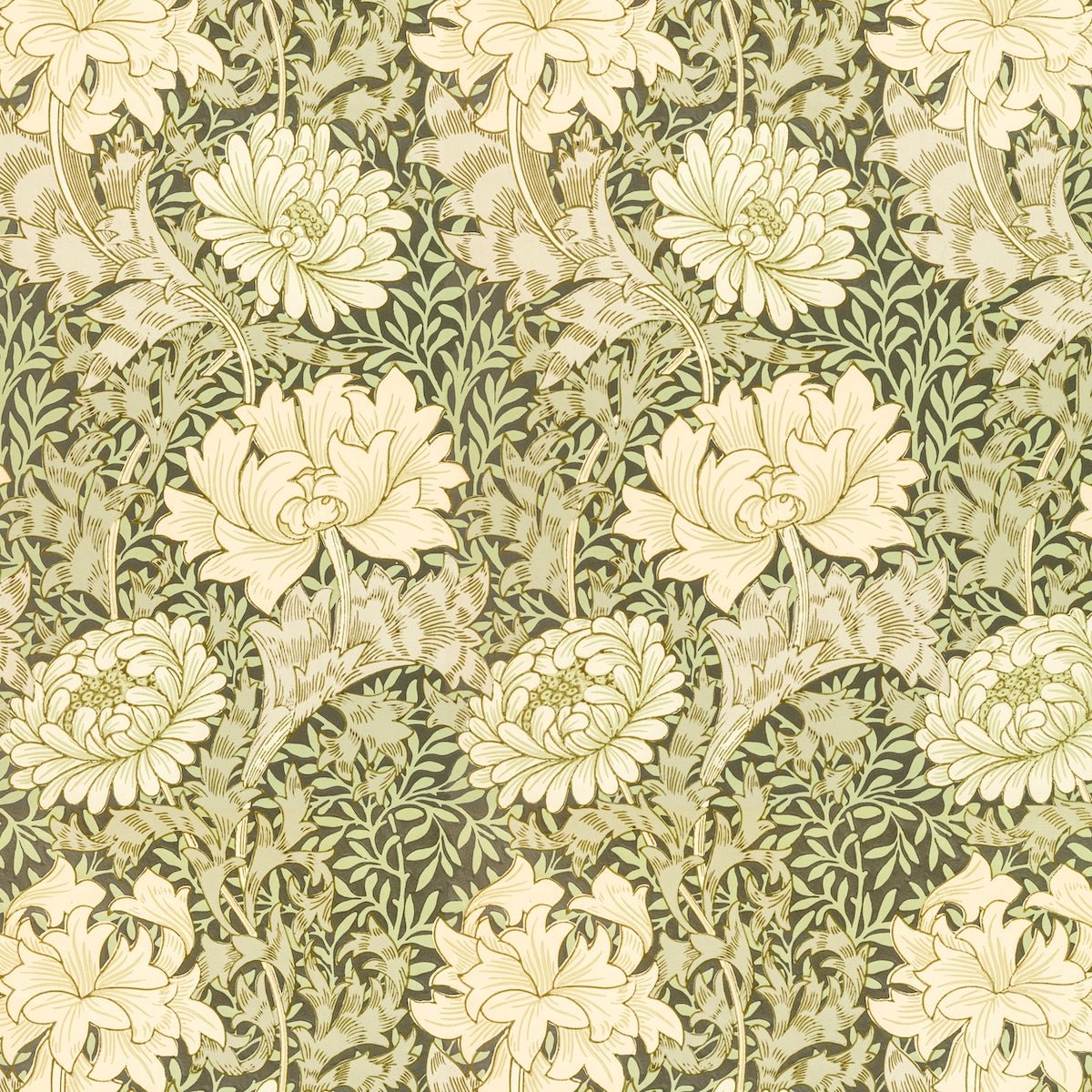 1066 - Chrysanthemum Wallpaper - Sage by Morris Collections