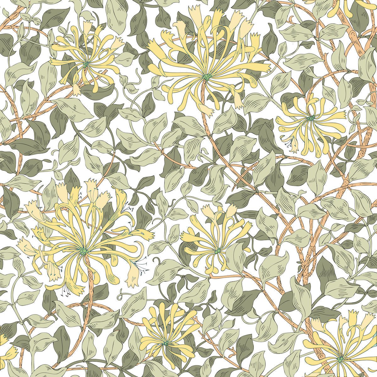 1118 - Honeysuckle Wallpaper - Blonde Yellow by Morris Collections