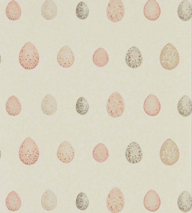 Nest Egg Wallpaper - Blush Pink - DEBB216506 - Sanderson - Morris Wallpaper