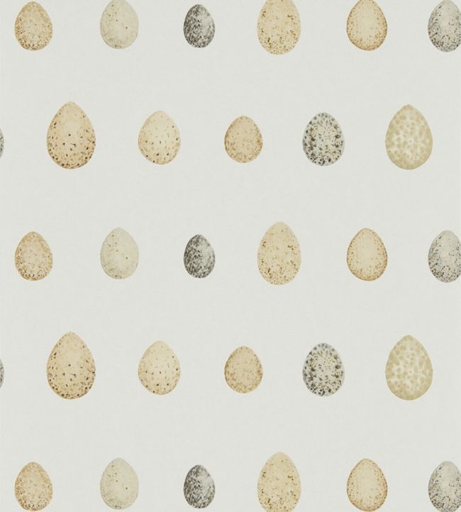 Nest Egg Wallpaper - Corn Graphite - DEBB216505 - Sanderson - Morris Wallpaper