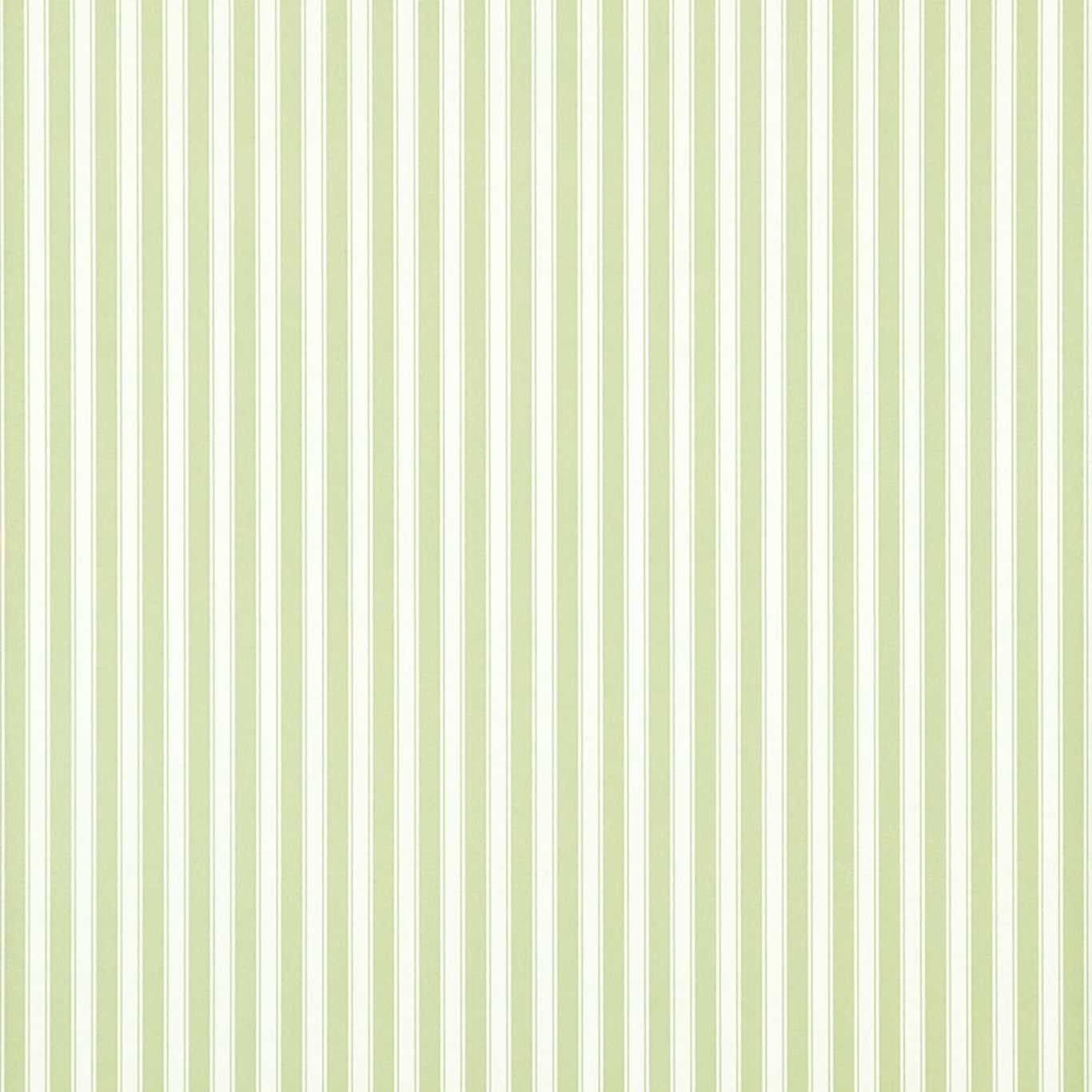 New Tiger Stripe Wallpaper - Leaf Green/Ivory - DCAVTP103