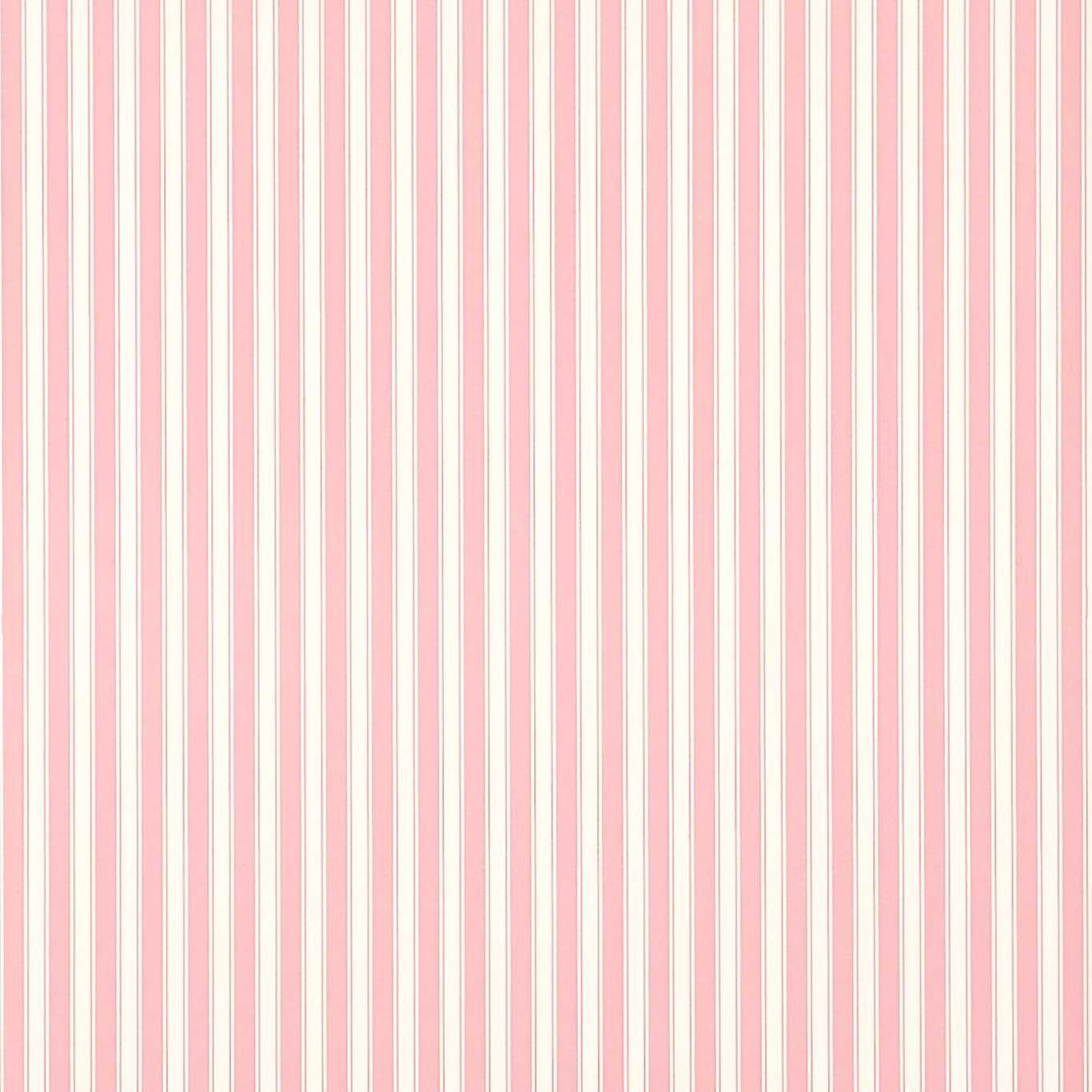 New Tiger Stripe Wallpaper - Rose/Ivory - DCAVTP101
