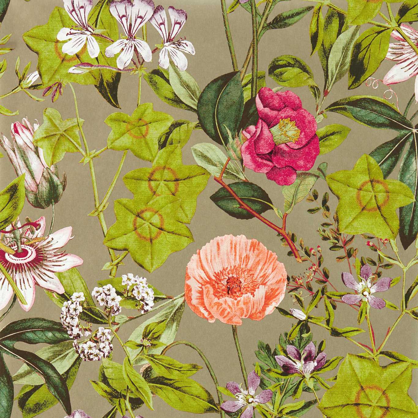 Passiflora Wallpaper - Mulberry/Gilver - Clarke & Clarke - W0143/03 - Morris Wallpaper