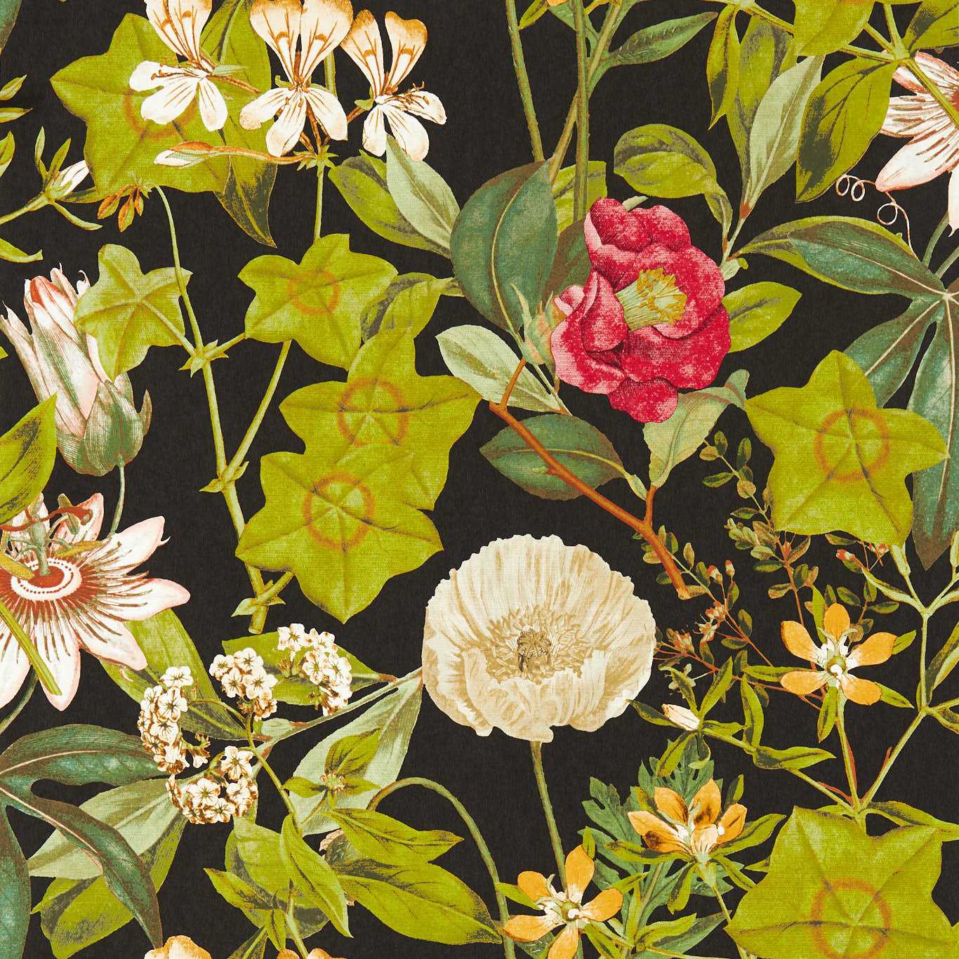 Passiflora Wallpaper - Noir - Clarke & Clarke - W0143/04 - Morris Wallpaper