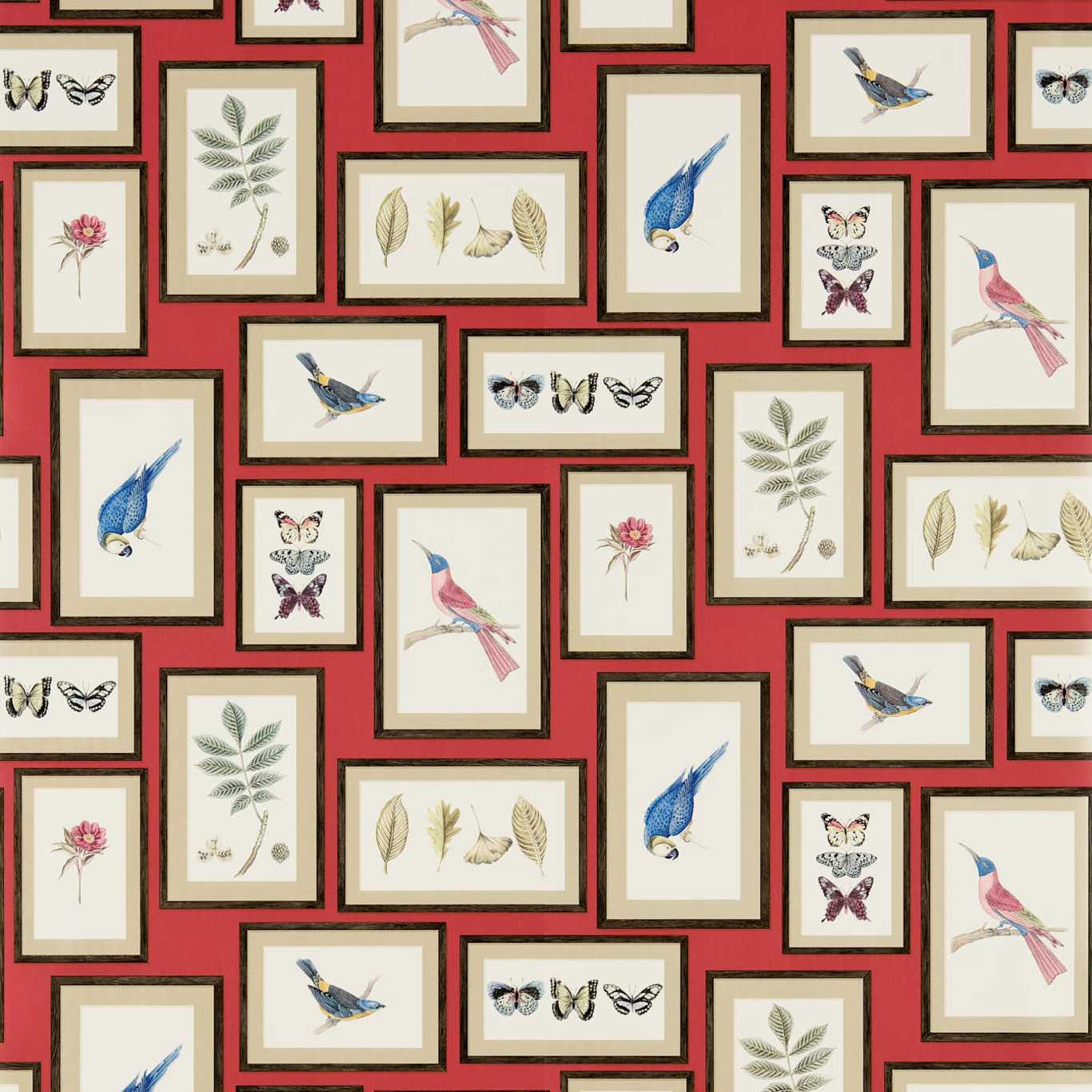 Picture Gallery Wallpaper - Red/Multi - DVOY213398