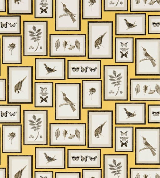 Picture Gallery Wallpaper - Yellow/Charcoal - DVOY213396 - Sanderson - Morris Wallpaper