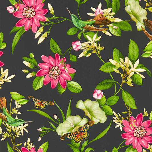 Pink Lotus Wallpaper - Noir - Clarke & Clarke - W0132/03 - Morris Wallpaper