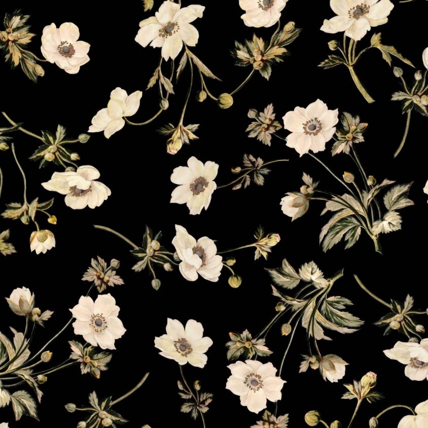 Poppium Wallpaper - House of Hackney - 1 - WA - POP - DI - BLK - XXX