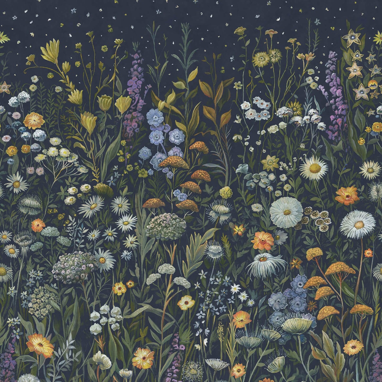 Prataria Wallpaper - House of Hackney - 1 - WA - PRT - DI - GAX - XXX