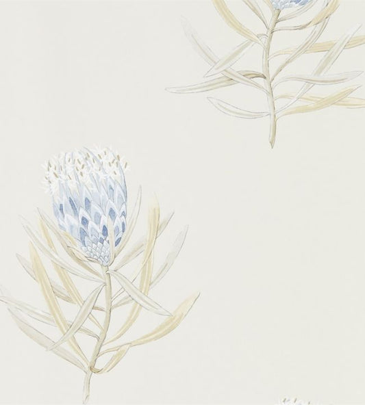 Protea Flower Wallpaper - China Blue/Canvas - DART216327 - Sanderson - Morris Wallpaper