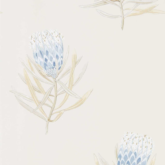 Protea Flower Wallpaper - China Blue/Canvas - DART216327