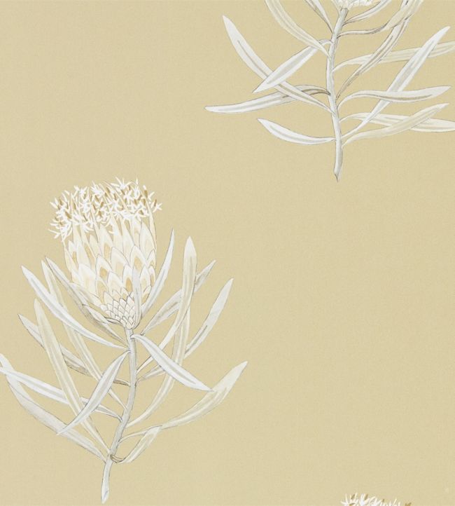 Protea Flower Wallpaper - Sepia/Champagne - DART216331 - Sanderson - Morris Wallpaper