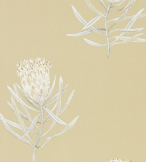 Protea Flower Wallpaper - China Blue/Canvas, Daffodil/Natural, Russet ...