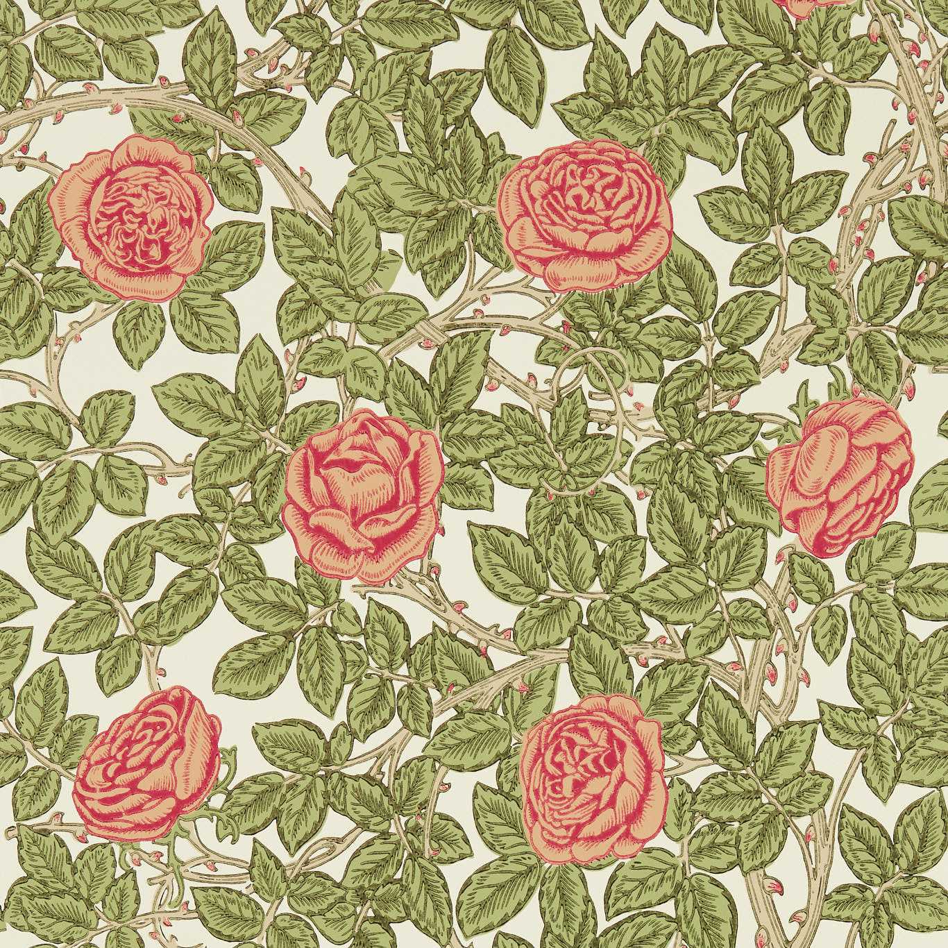 Rambling Rose Wallpaper - Twining Vine - MEWW217207 - Morris & Co - Emmery Walkers - Morris Wallpaper