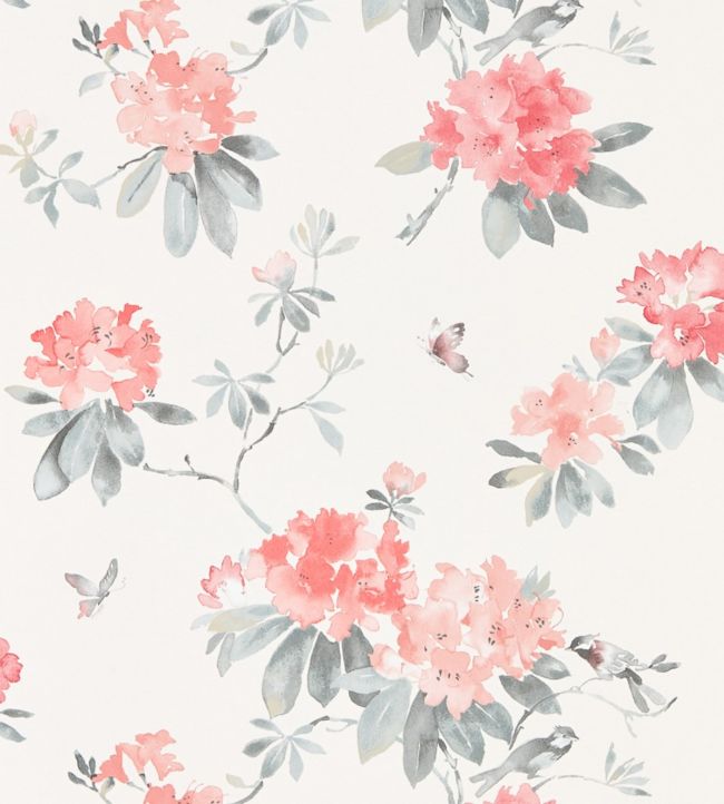 Rhodera Wallpaper - Coral/Grey - DWAP216264 - Sanderson - Morris Wallpaper