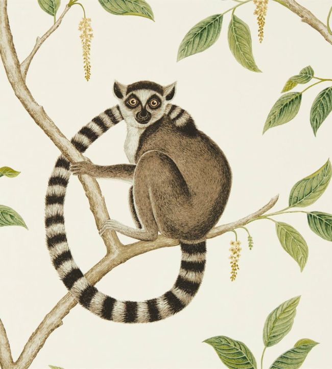 Ringtailed Lemur Wallpaper - Ringtailed Lemur Cream/Olive - DGLW216664 - Sanderson - Morris Wallpaper