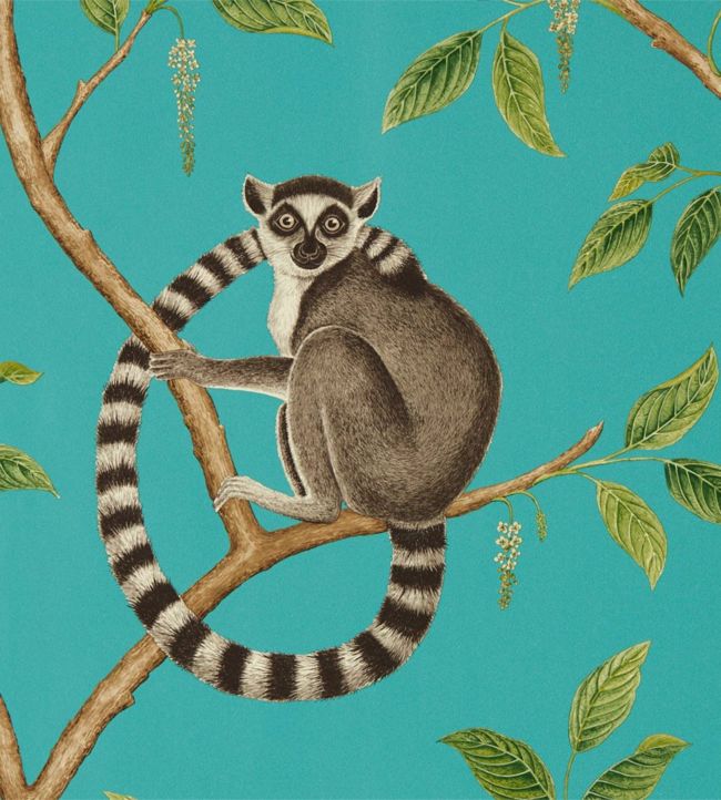 Ringtailed Lemur Wallpaper - Ringtailed Lemur Teal - DGLW216663 - Sanderson - Morris Wallpaper