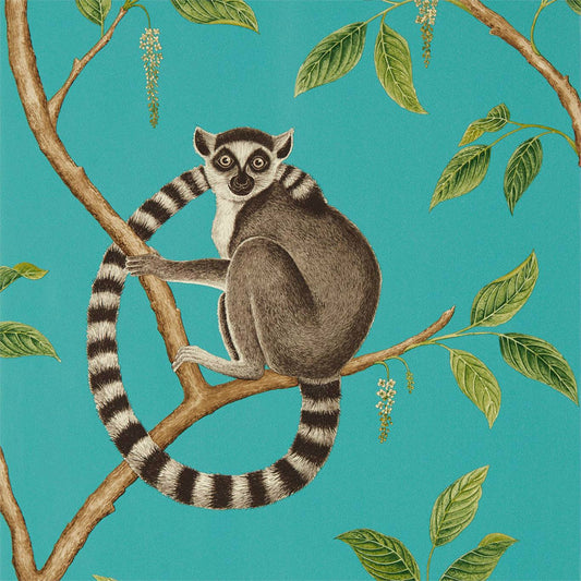 Ringtailed Lemur Wallpaper - Teal - DGLW216663