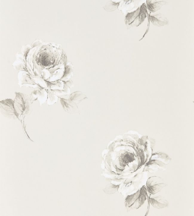 Rosa Wallpaper - Chalk - DWAP216276 - Sanderson - Morris Wallpaper