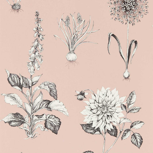Roseraie Wallpaper - Blush - Clarke & Clarke - W0197/01 - Morris Wallpaper