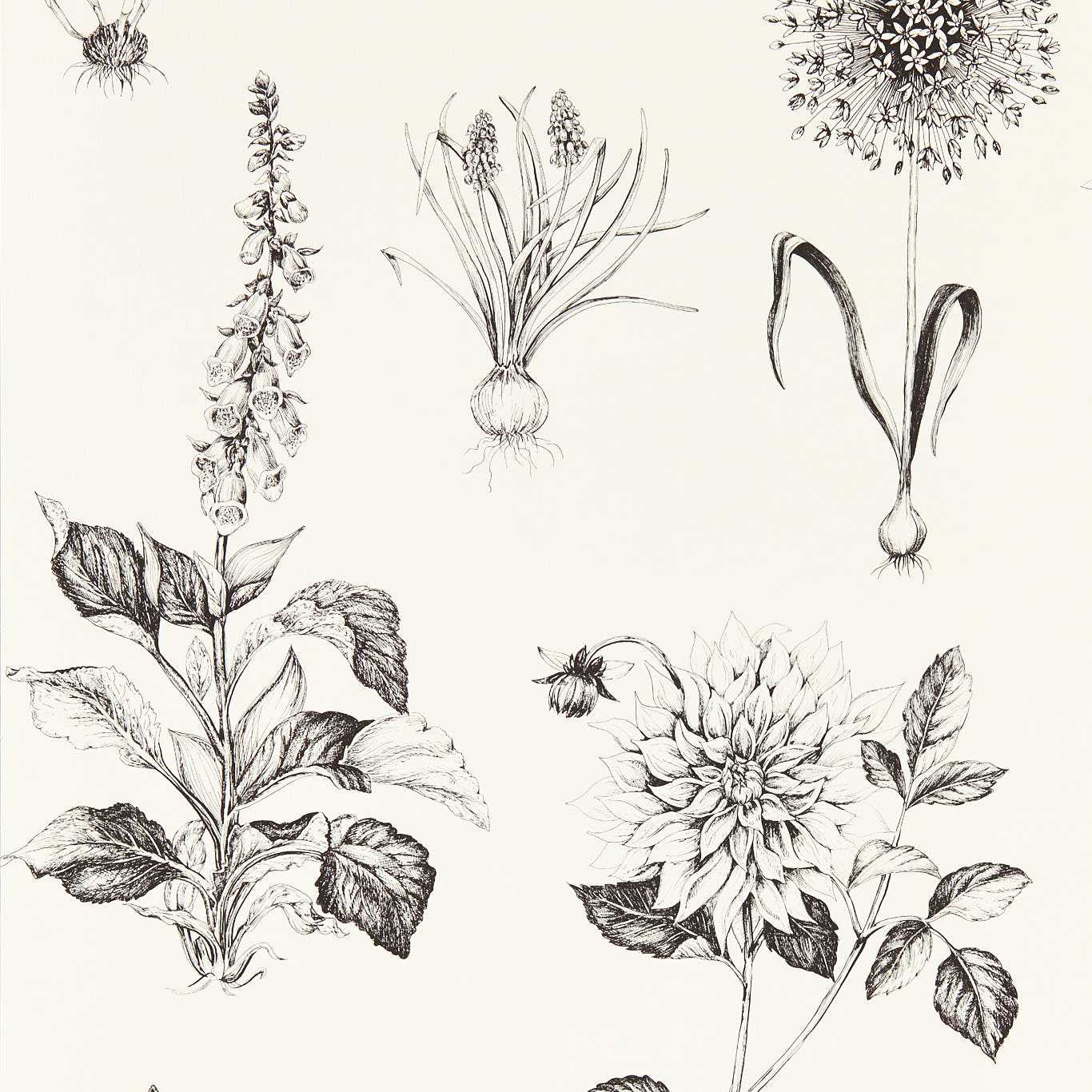Roseraie Wallpaper - Charcoal - Clarke & Clarke - W0197/02 - Morris Wallpaper