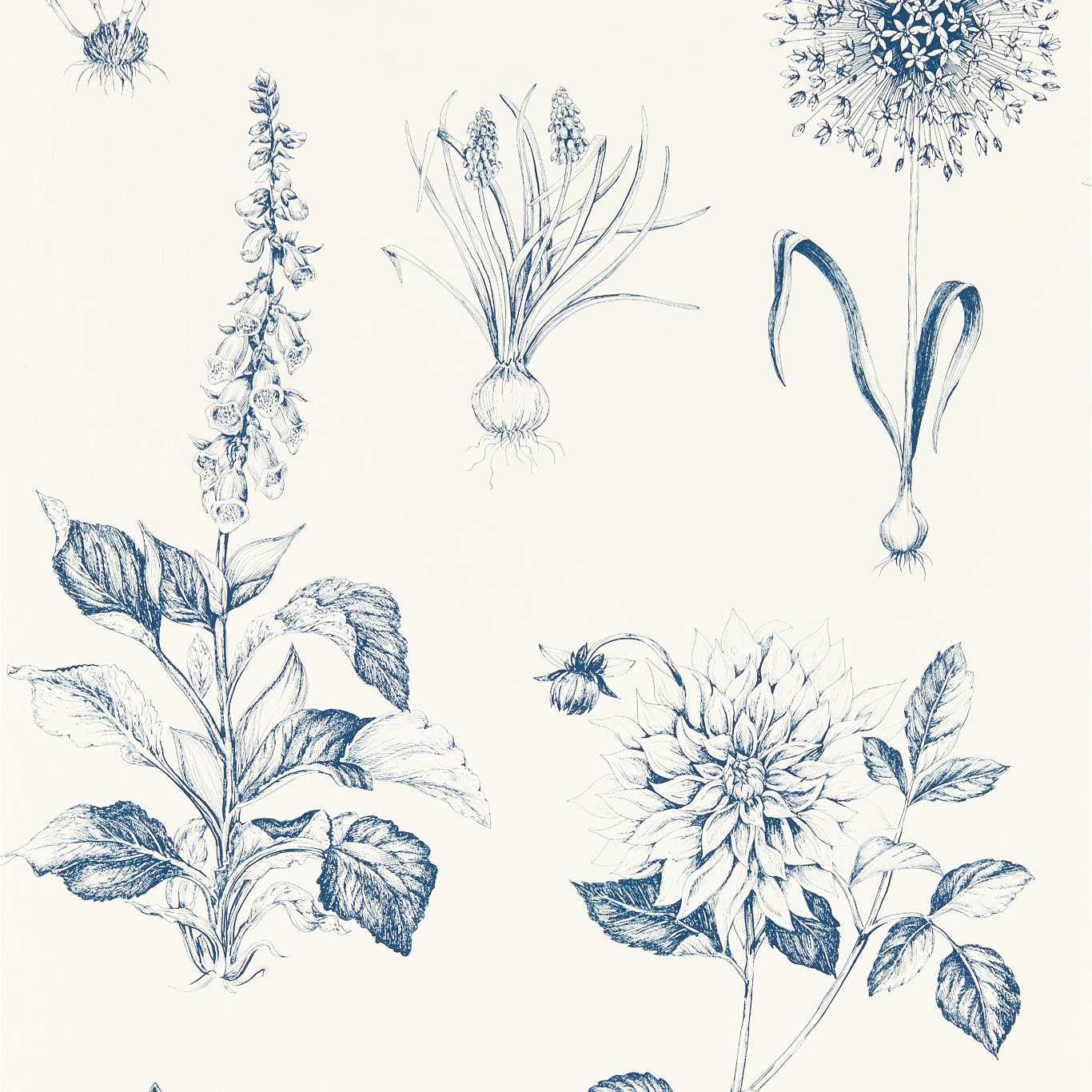 Roseraie Wallpaper - Midnight - Clarke & Clarke - W0197/03 - Morris Wallpaper