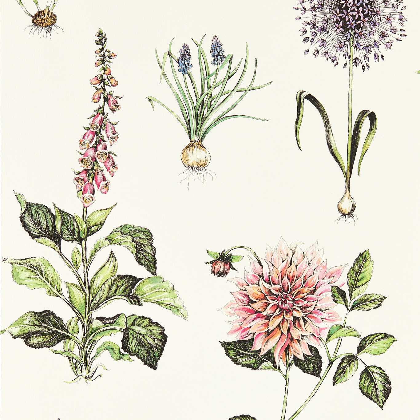 Roseraie Wallpaper - Summer - Clarke & Clarke - W0197/05 - Morris Wallpaper