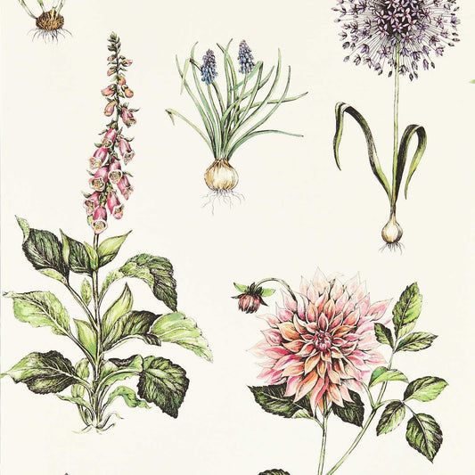 Roseraie Wallpaper - Summer - Clarke & Clarke - W0197/05 - Morris Wallpaper