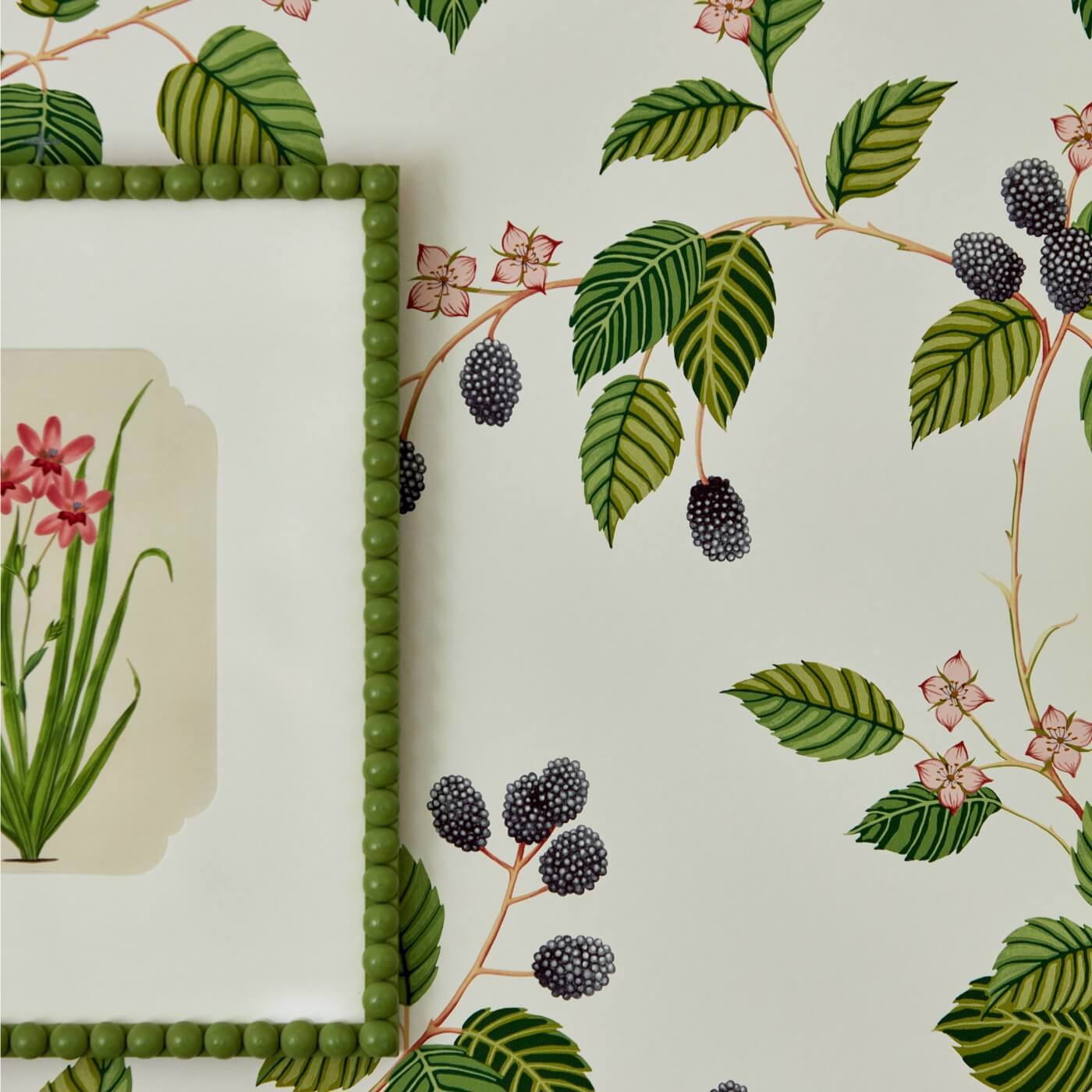 Rubus Wallpaper - Blackberry - DABW217227 - Sanderson - Morris Wallpaper
