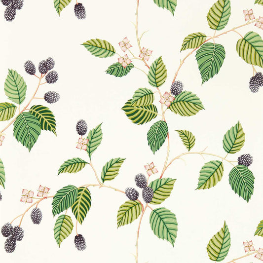 Rubus Wallpaper - Blackberry - DABW217227 - Sanderson - Morris Wallpaper