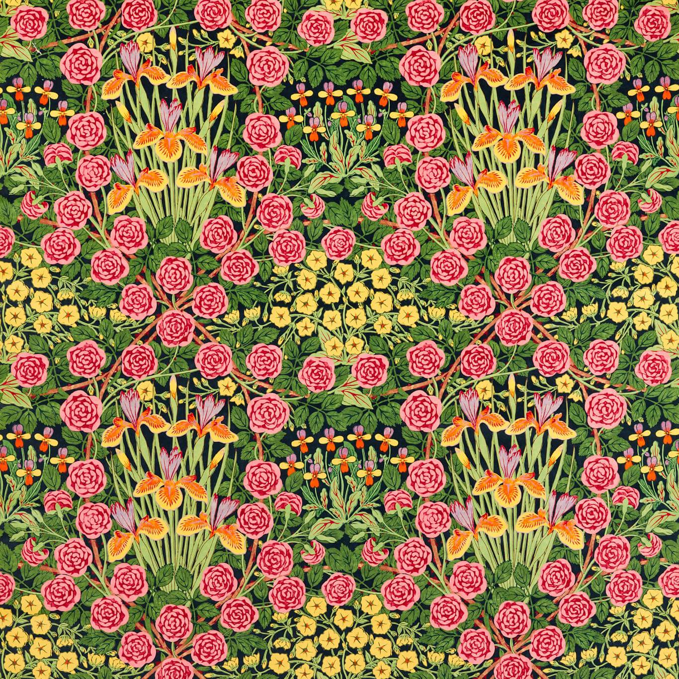 Sanderson - Campanula Sunburst/Ebony Fabric - MVOF227223 - Morris Wallpaper