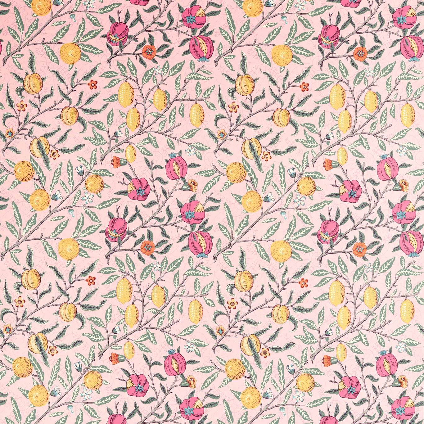 Sanderson - Fruit Stardust Fabric - AARC520006 - Morris Wallpaper