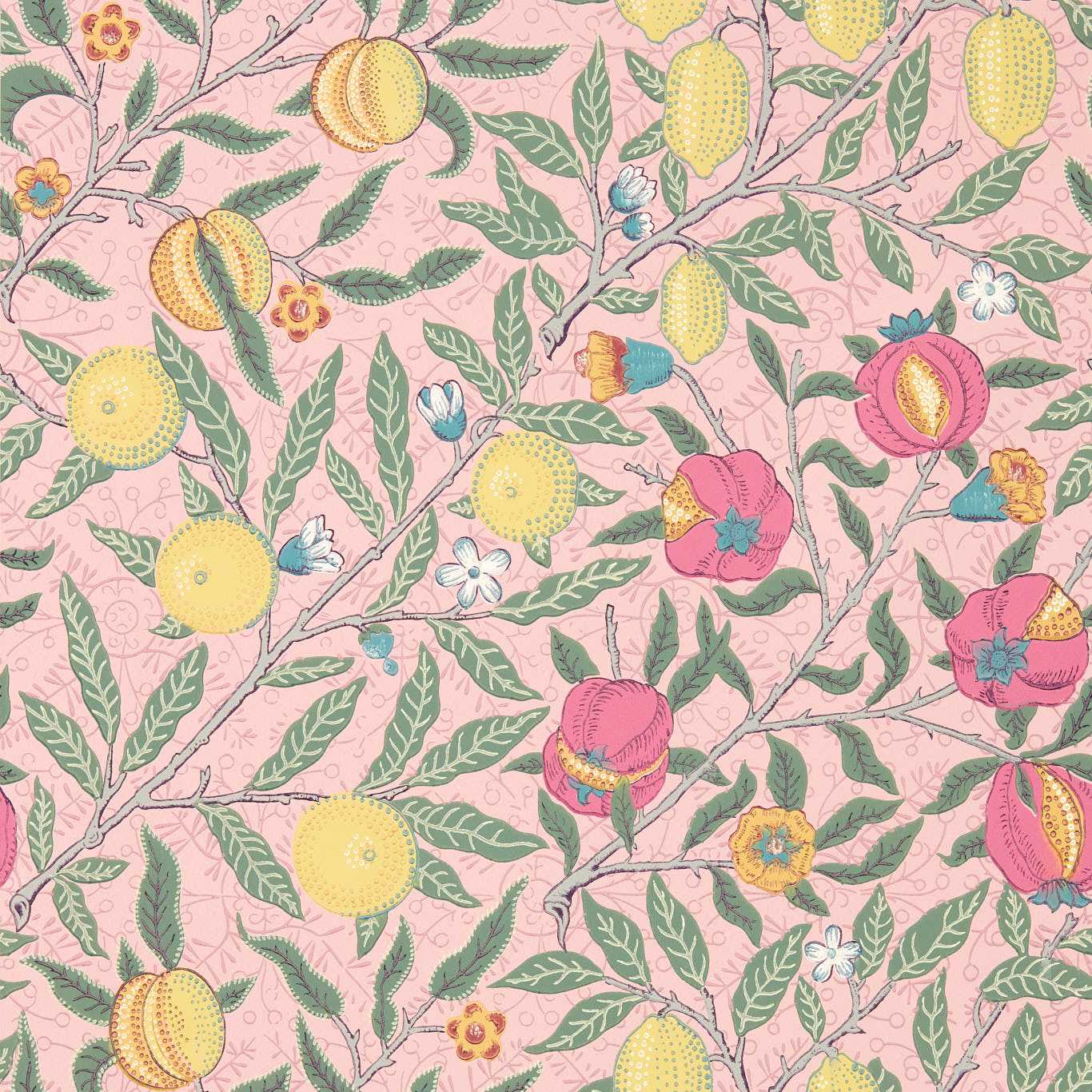 Sanderson - Fruit Stardust Wallpaper - AARC510010 - Morris Wallpaper