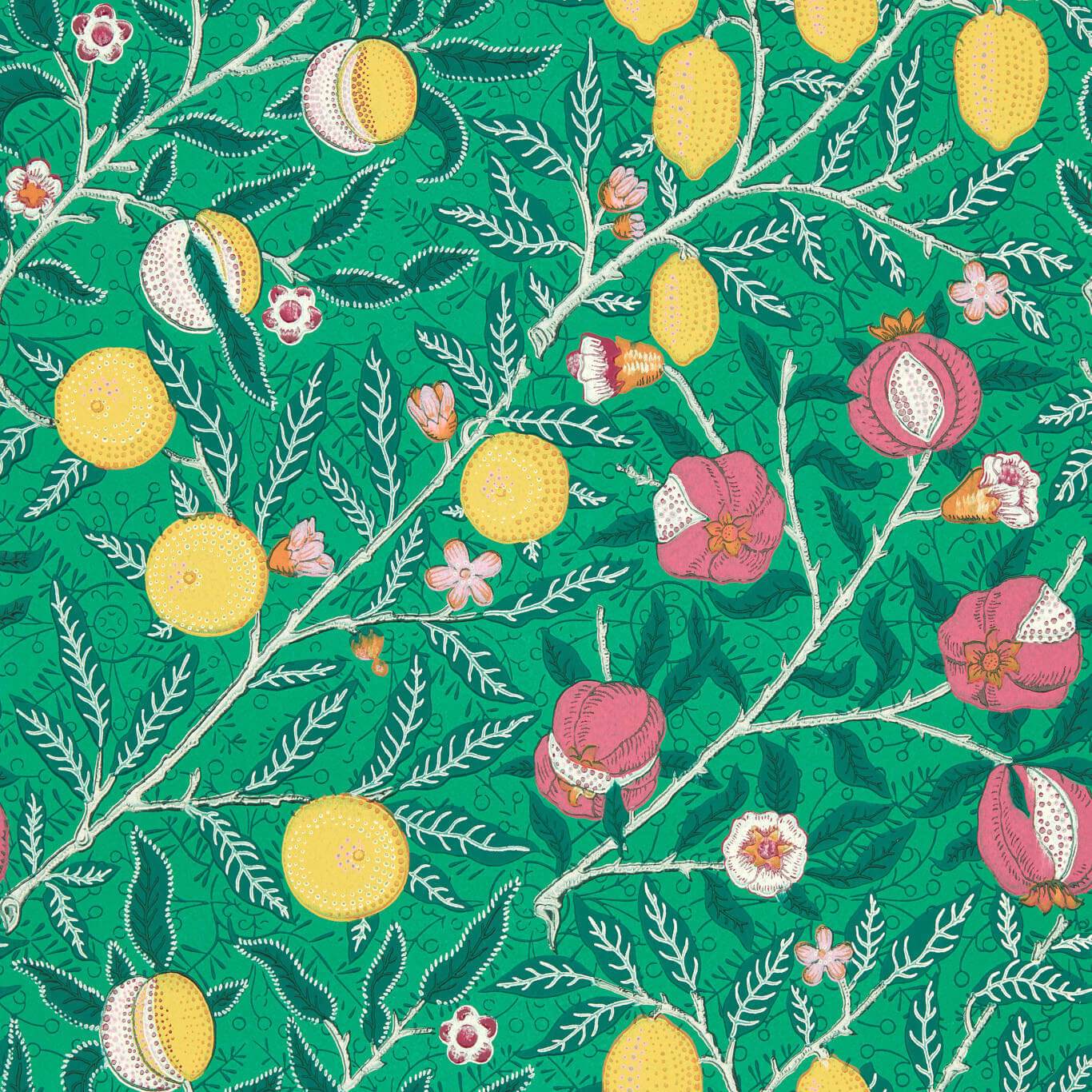 Sanderson - Fruit Tangled Green Wallpaper - AARC510018 - Morris Wallpaper