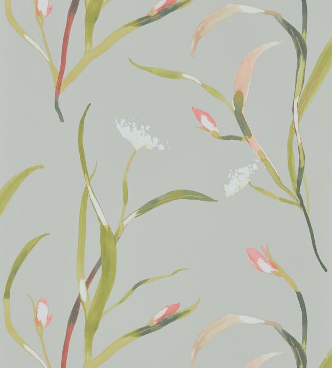 Saona Wallpaper - Coral/Silver - HZAP111756 - Harlequin - Morris Wallpaper
