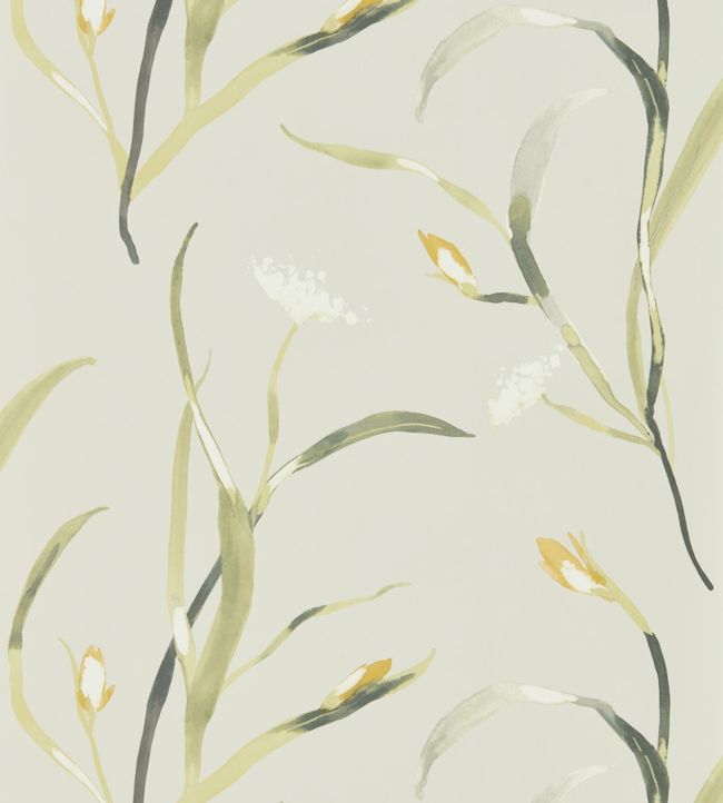 Saona Wallpaper - Ochre/Linen - HZAP111757 - Harlequin - Morris Wallpaper
