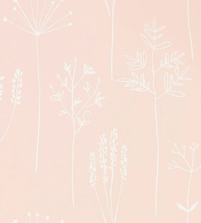 Stipa Wallpaper - Blush - 112018 - Scion