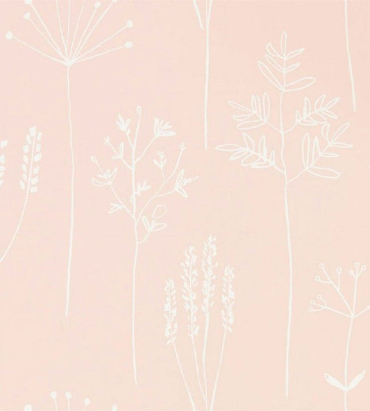 Stipa Wallpaper - Blush - 112018 - Scion