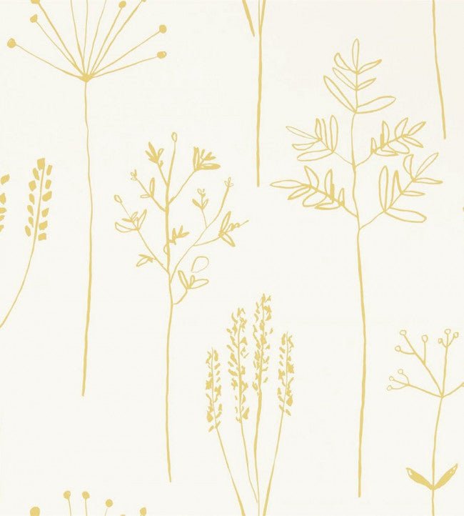 Stipa Wallpaper - Honey - 112021 - Scion