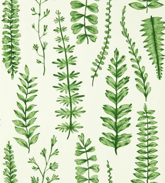 Ferns Wallpaper - Juniper - NART112798 - Scion