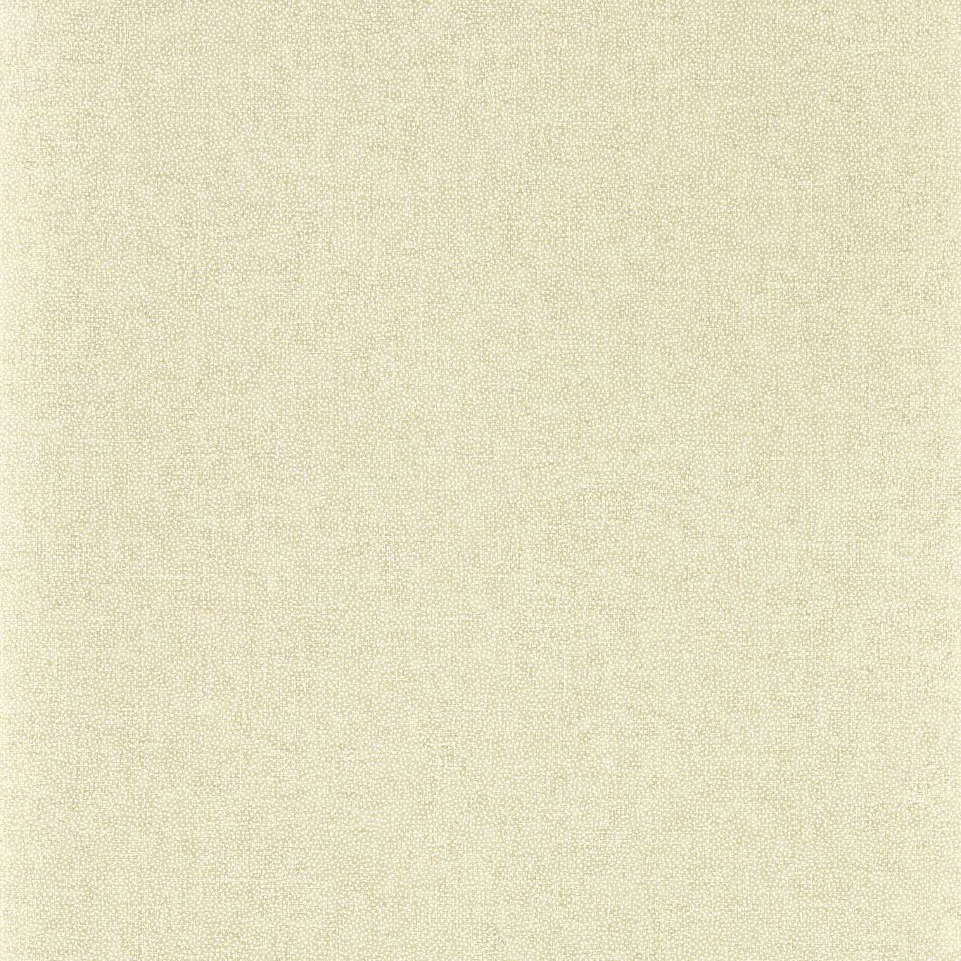 Sessile Plain Wallpaper - Birch - DABW217246
