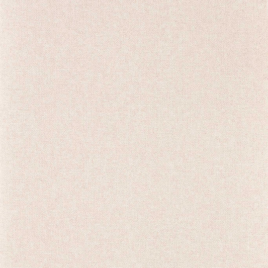 Sessile Plain Wallpaper - Wild Rose - DABW217244 - Sanderson - Morris Wallpaper