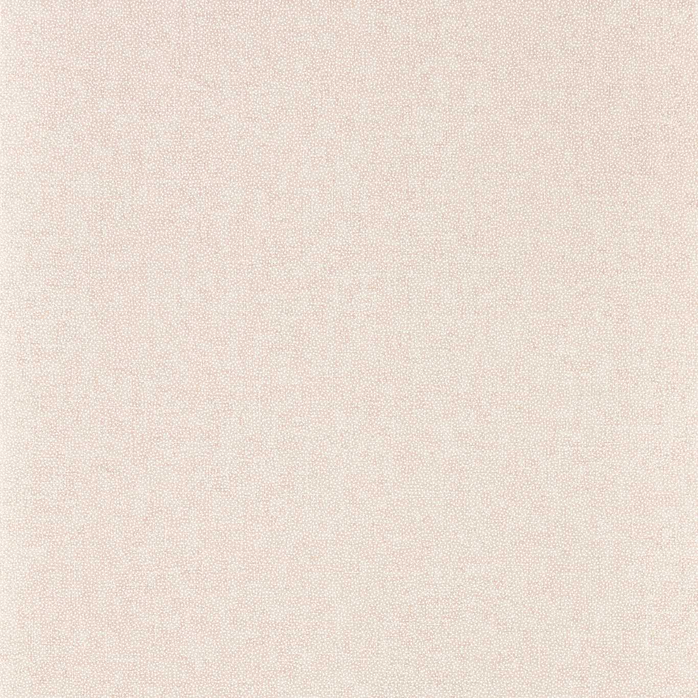 Sessile Plain Wallpaper - Wild Rose - DABW217244