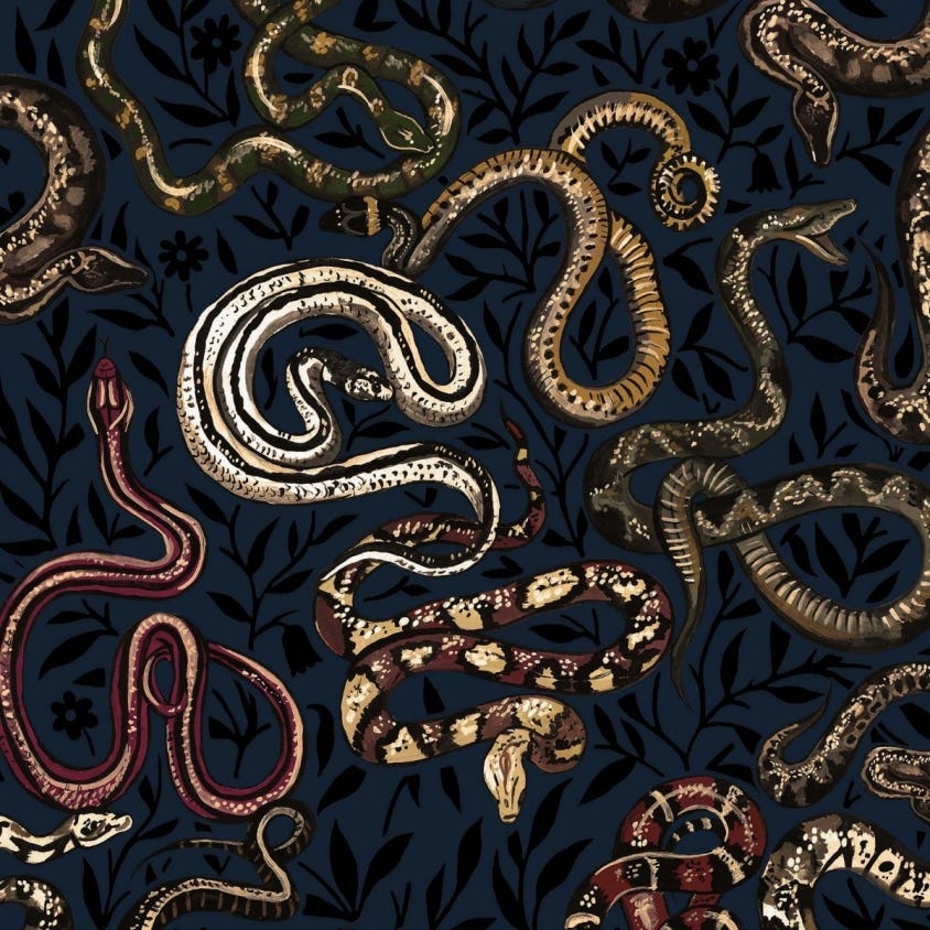 Snakes And Adders Wallpaper - House of Hackney - 1 - WA - SER - DI - BLK - XXX