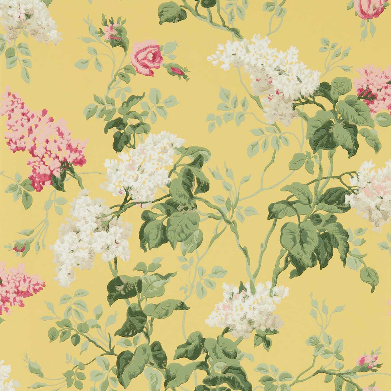 Sommerville Wallpaper - Carmen/Daffodil - DOSW217051 - Sanderson - One Sixty - Morris Wallpaper