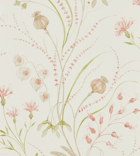 Summer Harvest Wallpaper - Claret/Olive - DEBB216495 - Sanderson - Morris Wallpaper