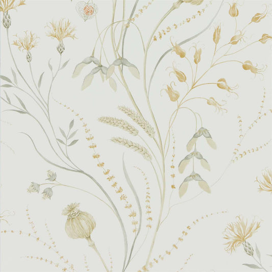 Summer Harvest Wallpaper - Silver Corn - DEBB216497